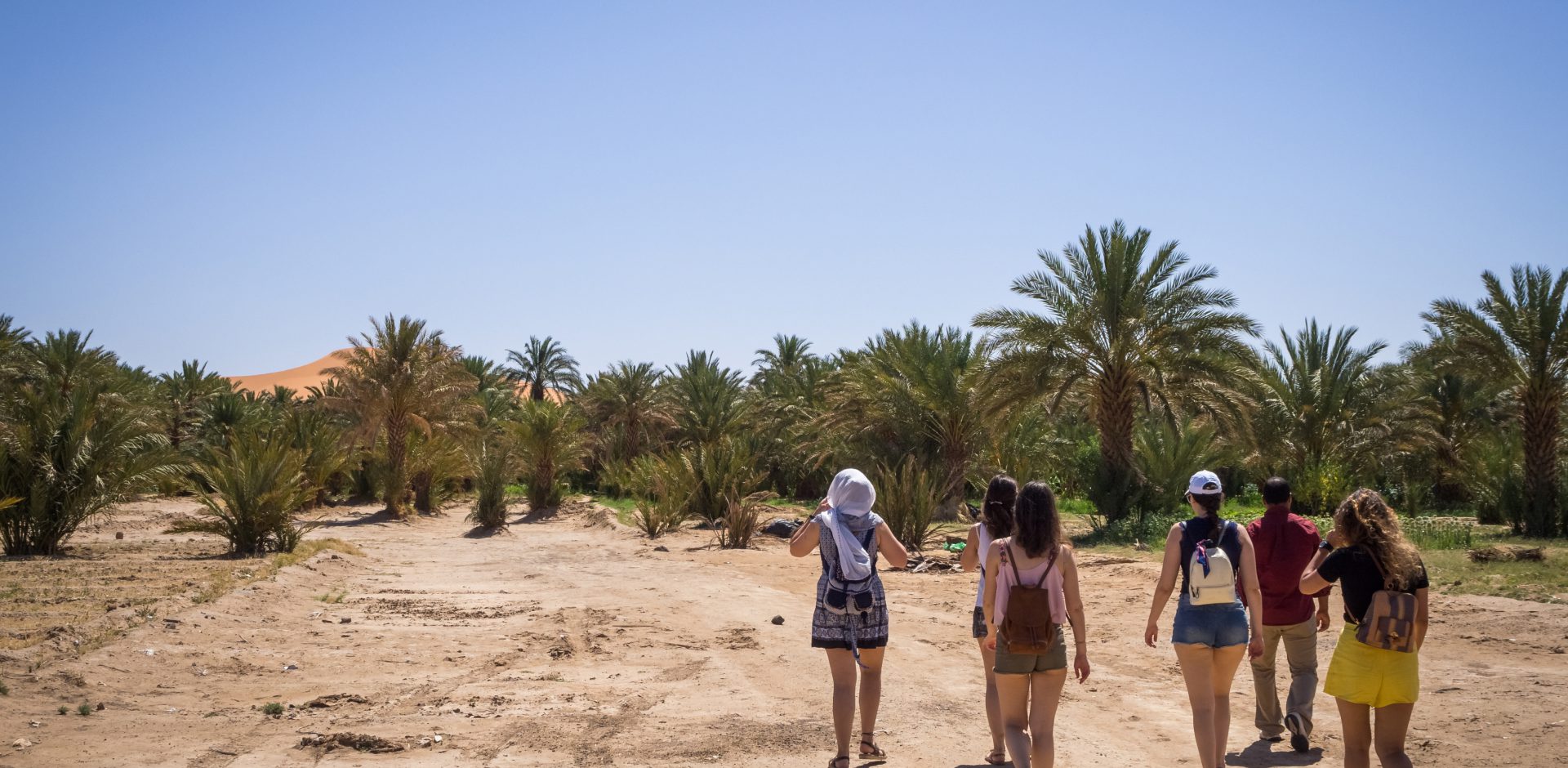 سياح يتجولون بين أشجار النخيل في واحة أقا